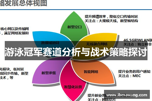 游泳冠军赛道分析与战术策略探讨